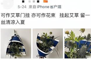 20年前的欧冠16强对阵是怎样的？曼联vs波尔图，皇马vs拜仁！